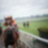 Analysis of horse racing outcomes