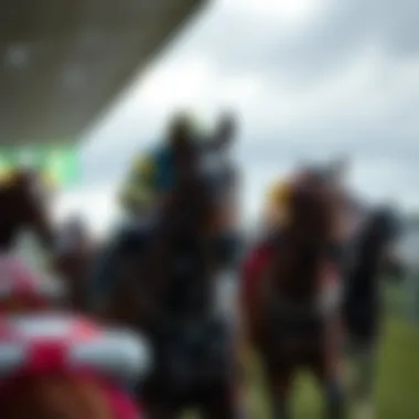 Impact of weather on horse racing