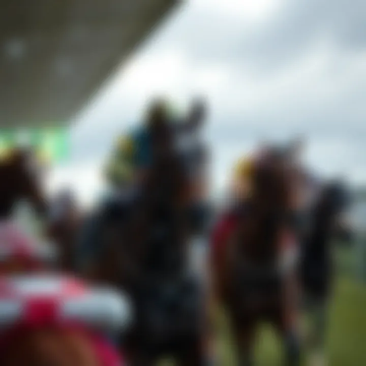 Impact of weather on horse racing