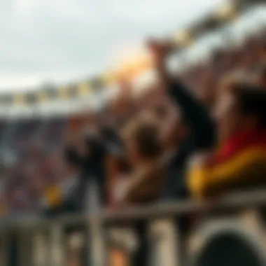 Passion of the Fans Fans cheering in the stands