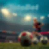 A detailed overview of TotoBet site features